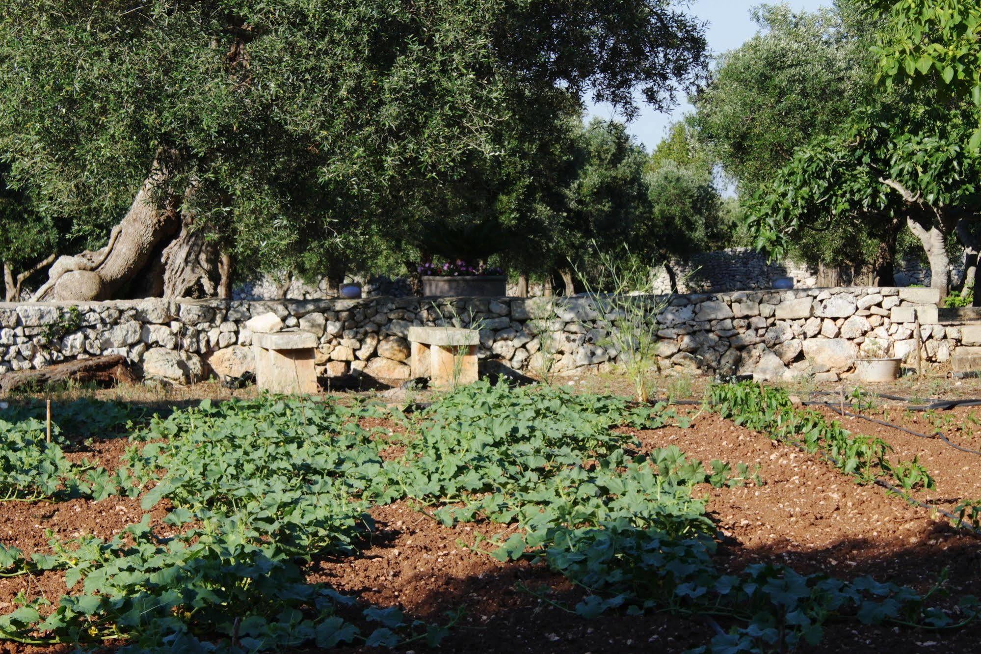 Tenuta Pigliano Hotel Bagnolo del Salento Luaran gambar